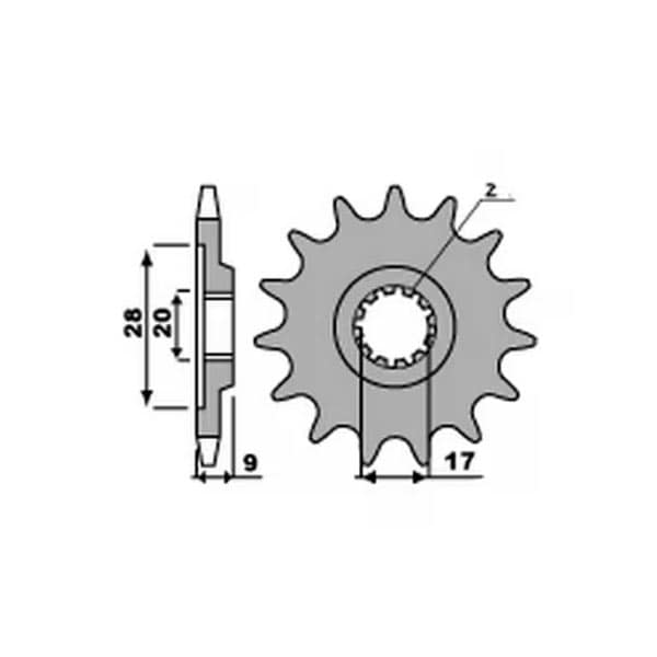 PIGNONE HM Z14 18NC (9)+SCASSO C.428